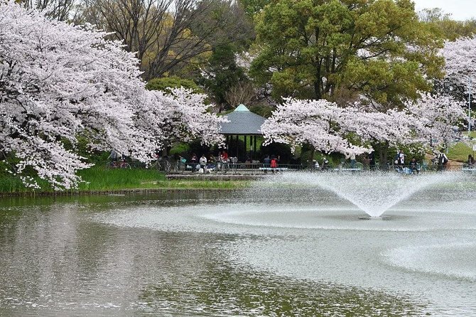 Nagoya Custom Full Day Tour - Pricing and Guarantee