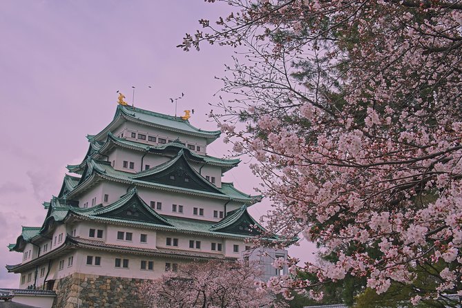 Nagoya Custom Full Day Tour - Selecting Date and Travelers