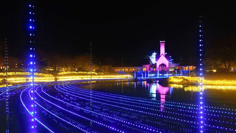 Nagoya Day Trip: Nabana no Sato Illumination & Mitsui Outlet Jazz Dream Nagashima (Round trip from Nagoya) - Nabana no Sato after dark