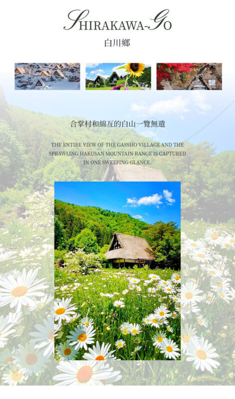 Nagoya Departure: Gujo Hachiman Old Castle x Hida Takayama Old Town x Shirakawa-go Gassho Village Day Trip - Who should take this day trip?