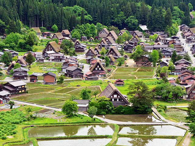 Nagoya Departure | Small Group Tour: Hida Takayama Old Town + World Heritage Shirakawa-go Gassho Village Day Trip - One day, two very different sides of central Japan