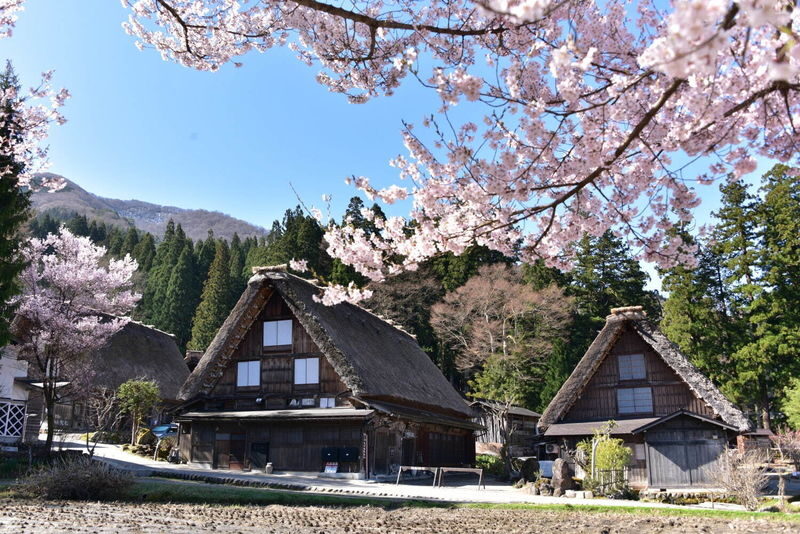 Nagoya Departure | Small Group Tour: Hida Takayama Old Town + World Heritage Shirakawa-go Gassho Village Day Trip - What the driver does, and what you do yourself