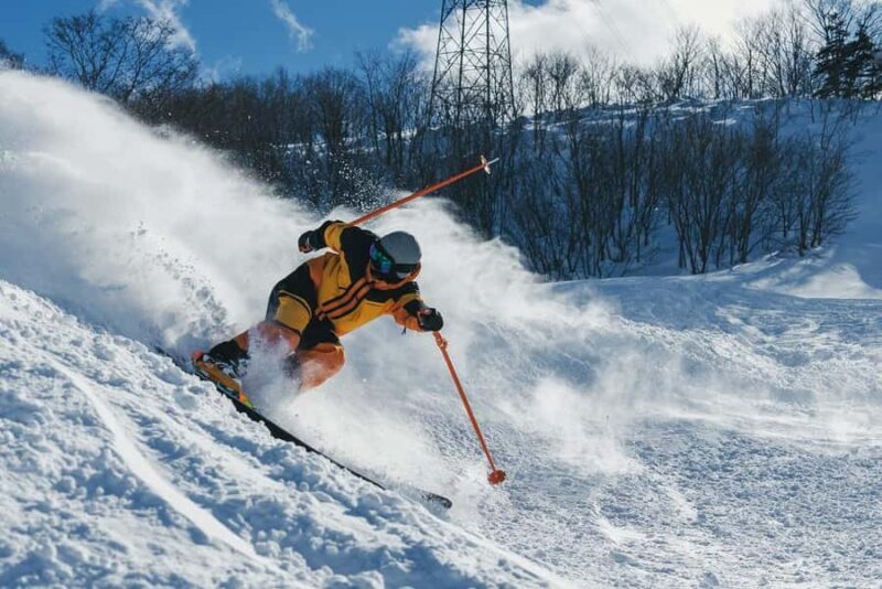 Nagoya: Dynaland Ski Resort Day Trip with Lift Ticket - Nagoya: Dynaland Ski Resort Day Trip with Lift Ticket — A Complete Review