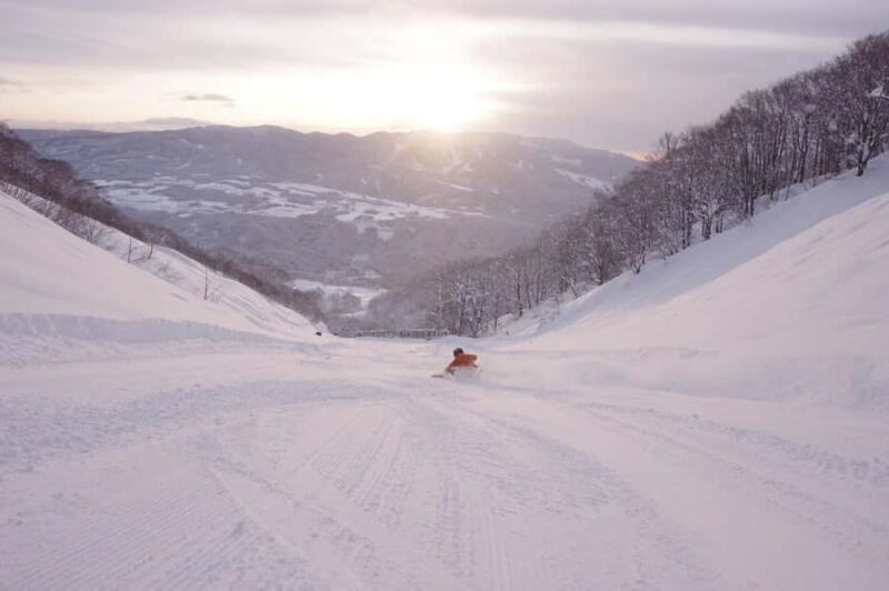 Nagoya: Dynaland Ski Resort Day Trip with Lift Ticket - Is This Tour Worth the Cost?