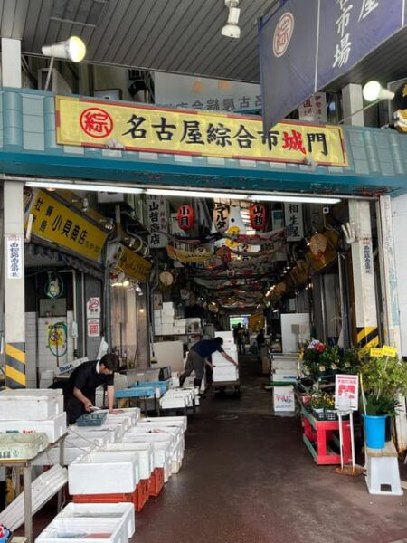 Nagoya: English-Guided Jogging Tour of the City (1 Hour) - Suitability for Private Groups