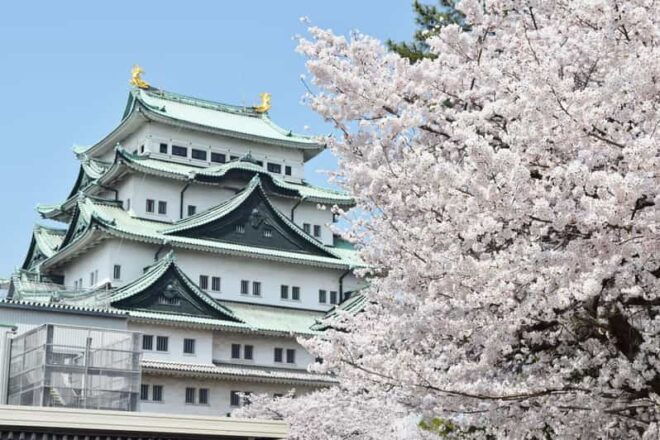 Nagoya: English-Guided Jogging Tour of the City (2 Hours) - Guided Experience