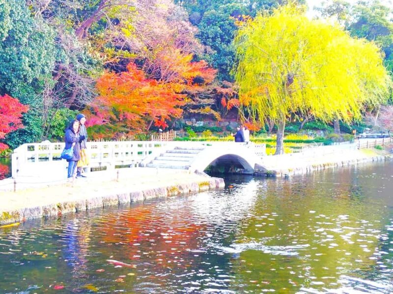 Nagoya: Exploring the Beauty of Tokugawa-en Garden - What Makes Tokugawa-en Garden Stand Out?