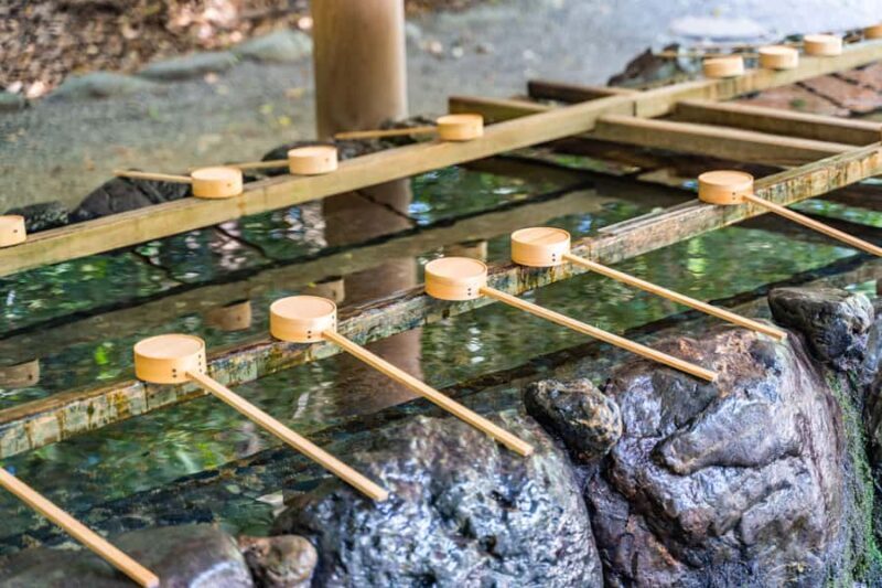 Nagoya Food and Culture tour: Atsuta Shrine and Osu Market - A Deep Dive into the Nagoya Food and Culture Tour