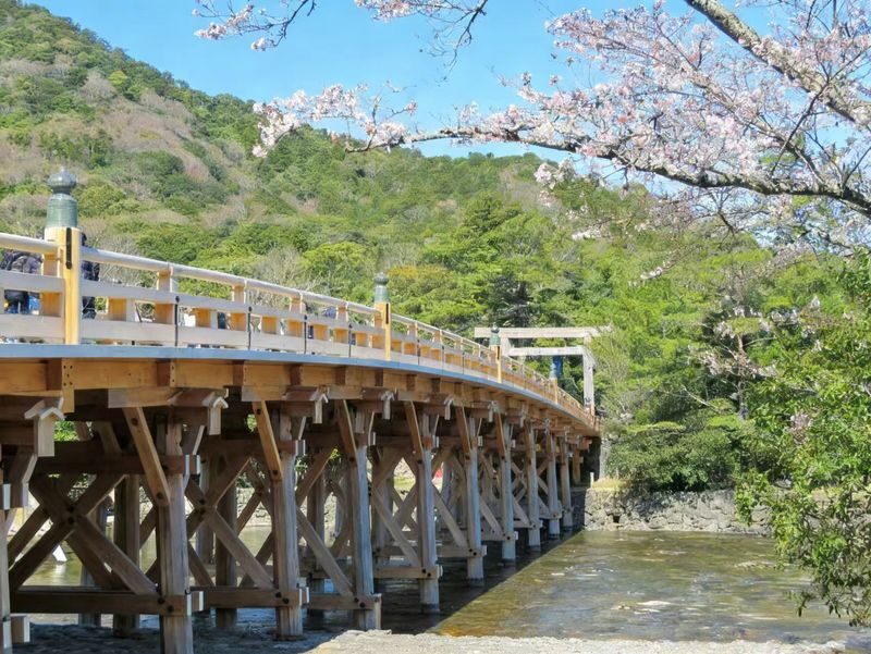 Nagoya Full-Day Ise Grand Shrine & Toba Aquarium Tour with Meoto Iwa - Ride comfort and the value of convenience