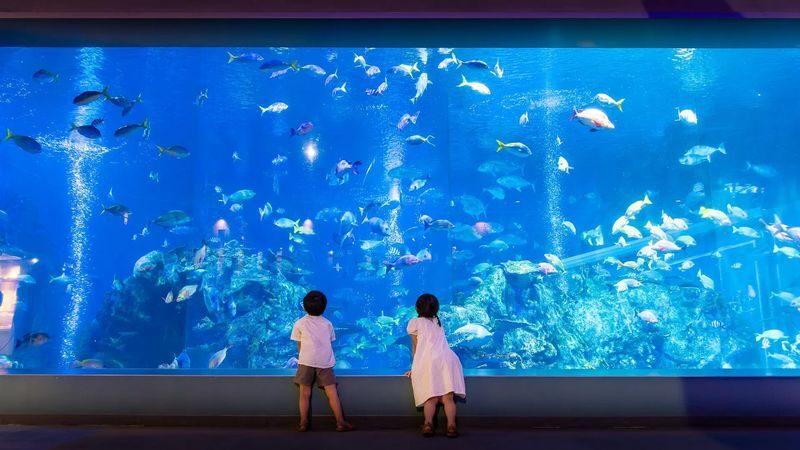 Nagoya Full-Day Ise Grand Shrine & Toba Aquarium Tour with Meoto Iwa - Should you book this Ise day trip?