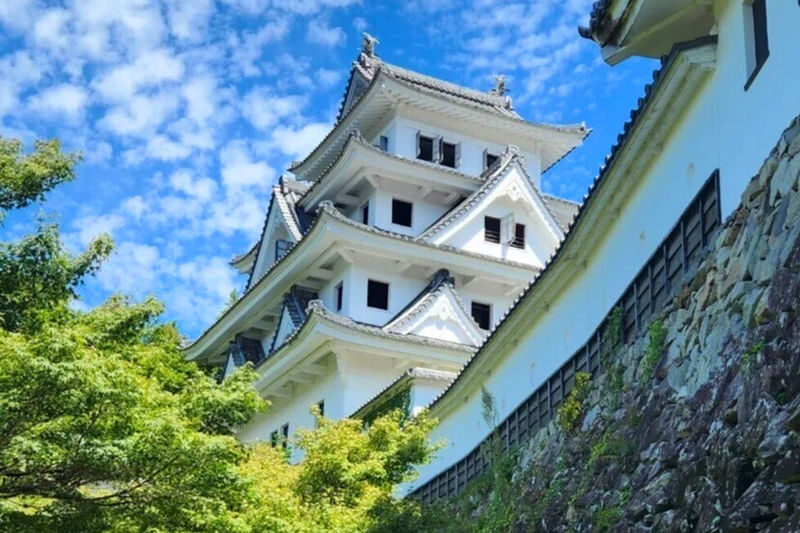 Nagoya Gujo Hachiman & Shirakawa-go Gassho Village & Hida Takayama Day Trip (Round Trip from Nagoya, Optional Small Group) - At a glance