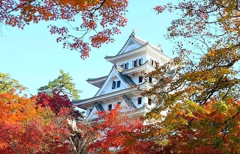 Nagoya Gujo Hachiman & Shirakawa-go Gassho Village & Hida Takayama Day Trip (Round Trip from Nagoya, Optional Small Group) - Shirakawa-go: thatched houses and a mountain setting