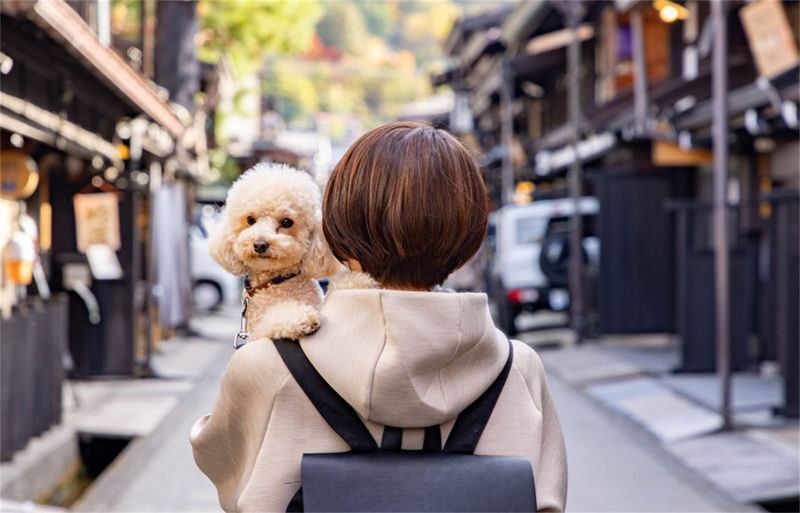 Nagoya Gujo Hachiman & Shirakawa-go Gassho Village & Hida Takayama Day Trip (Round Trip from Nagoya, Optional Small Group) - What the price does and does not cover