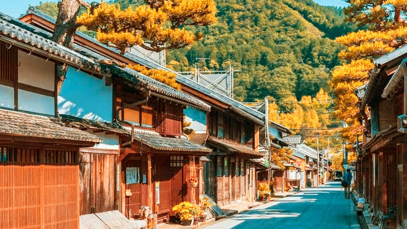 Nagoya Gujo Hachiman & Shirakawa-go Gassho Village & Hida Takayama Day Trip (Round Trip from Nagoya, Optional Small Group) - Who should book this day trip