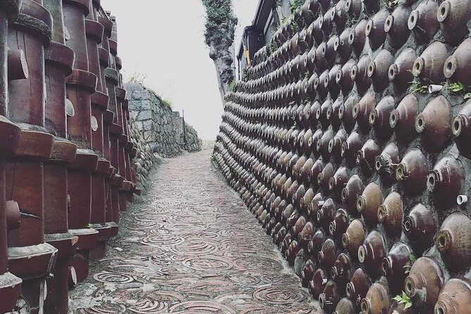 Nagoya Half-day Private Custom Tour with National Licensed Guide - Why Choose This Tour?