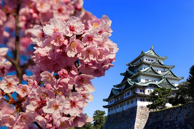Nagoya Half Day Tour With a Local: 100% Personalized & Private - End Point and Cancellation Policy