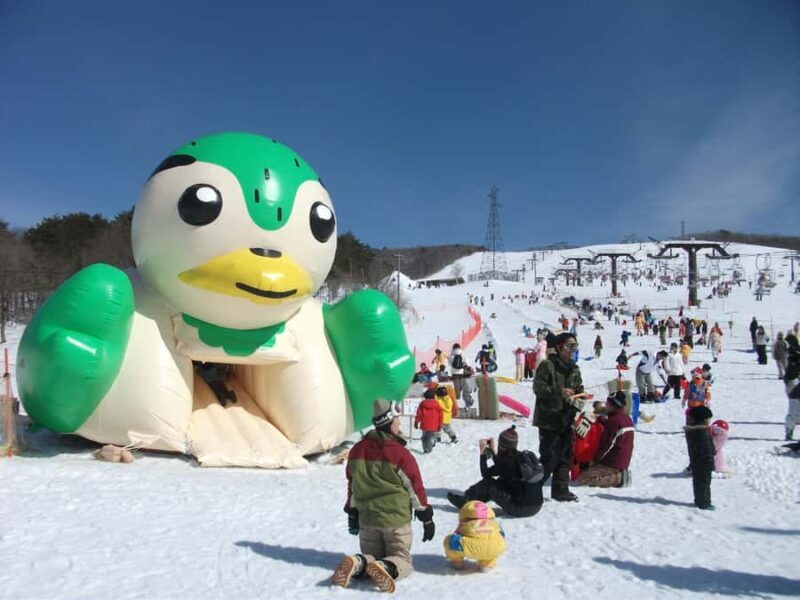 Nagoya: Hirugano Kogen Ski Resort Day Trip by Bus - What Makes This Tour Stand Out?