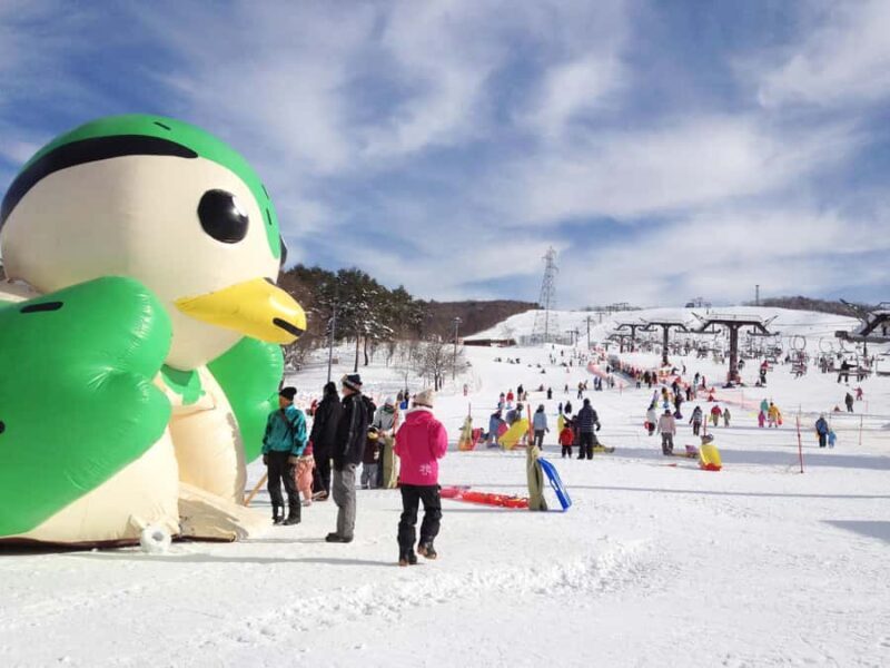 Nagoya: Hirugano Kogen Ski Resort Day Trip by Bus - The Experience from an Insider Perspective