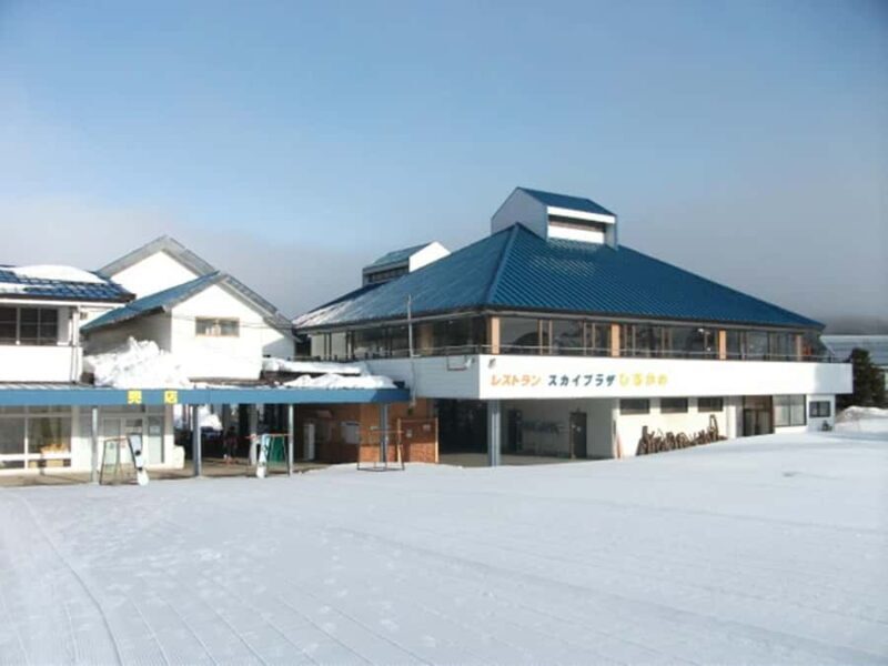 Nagoya: Hirugano Kogen Ski Resort Day Trip by Bus - Who is This Tour Best For?
