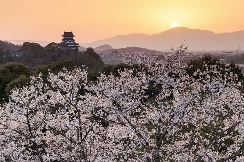 Nagoya Inuyama Castle, Ena Gorge, Magome-juku One-Day Tour - Three stops, three different reasons to go