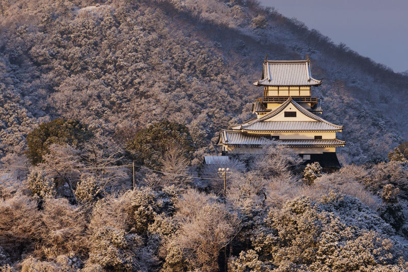 Nagoya Inuyama Castle, Ena Gorge, Magome-juku One-Day Tour - Ena Gorge: a change of pace