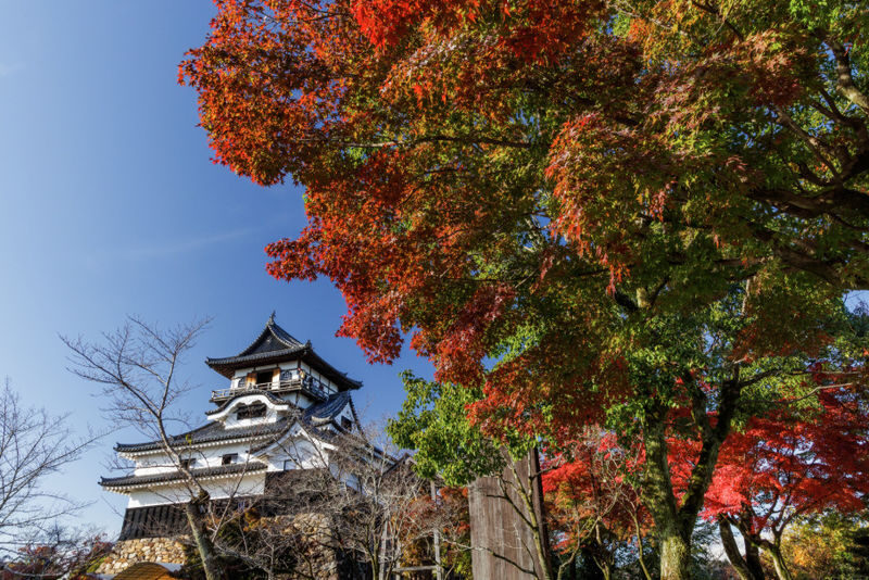 Nagoya Inuyama Castle, Ena Gorge, Magome-juku One-Day Tour - Does the price make sense?