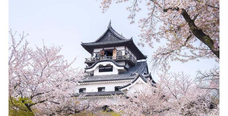 Nagoya Inuyama Castle & Magome-juku & Ena Gorge Day Tour - Who should take this tour?