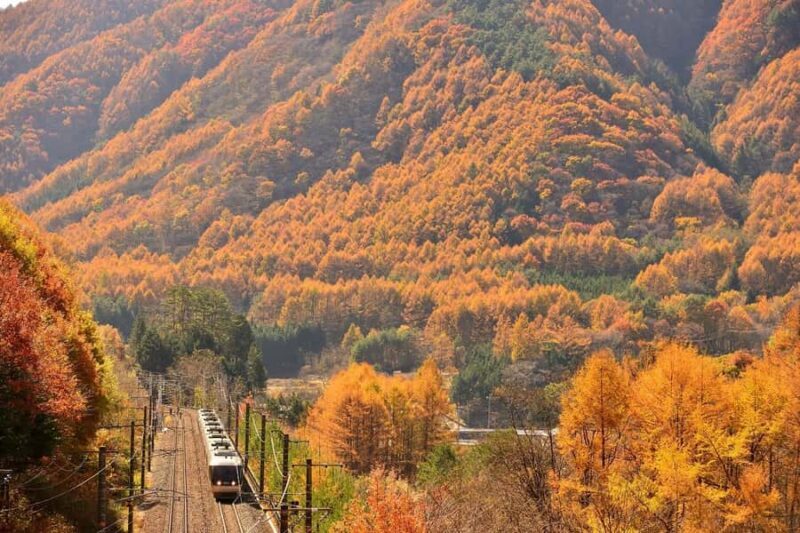 Nagoya: Inuyama Castle, Magome-juku, & Tsumago-juku Tour - The Sum Up