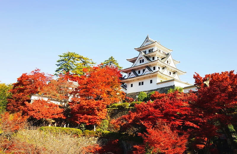 Nagoya, Japan | Hida Takayama/Shirakawa-go Customized Private Day Tour - Price and the question of extra charges