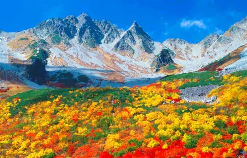 Nagoya Kamikochi and Taisho Pond Nature Full-Day Hiking Tour - Taisho Pond sets a quiet tone