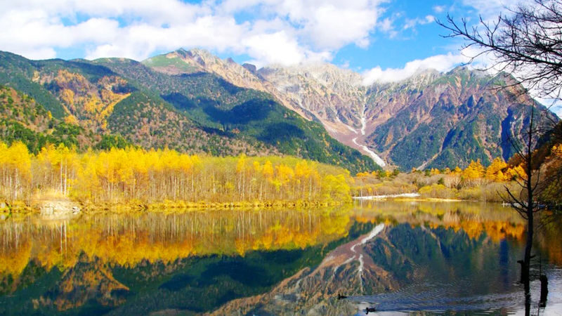 Nagoya Kamikochi and Taisho Pond Nature Full-Day Hiking Tour - The long bus ride is both the convenience and the cost