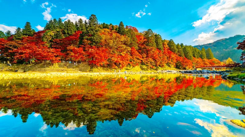 Nagoya Kamikochi and Taisho Pond Nature Full-Day Hiking Tour - Weather and closures can rewrite the schedule