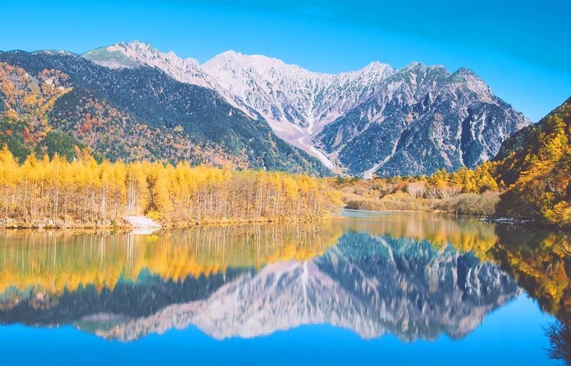 Nagoya Kamikochi and Taisho Pond Nature Full-Day Hiking Tour - The guide can make a multilingual group work