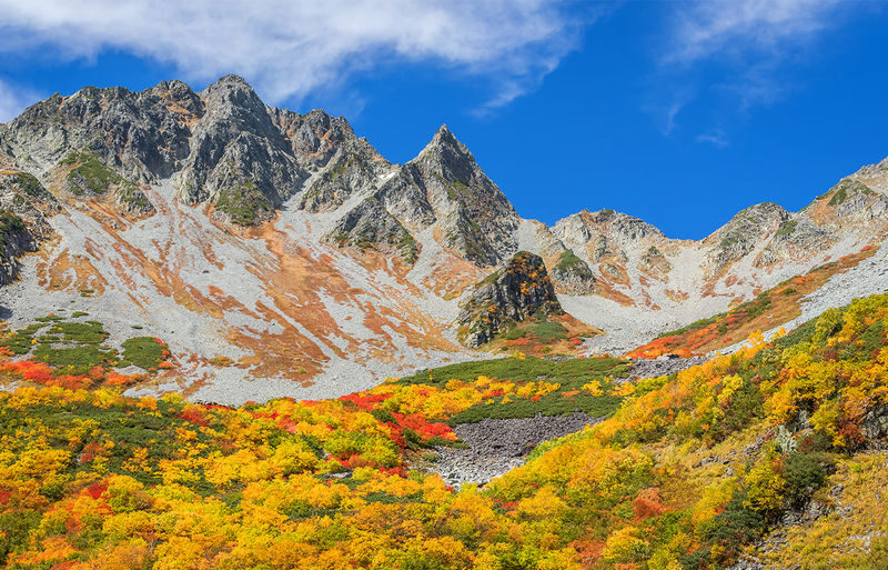 Nagoya Kamikochi and Taisho Pond Nature Full-Day Hiking Tour - Who should book this Kamikochi day trip?