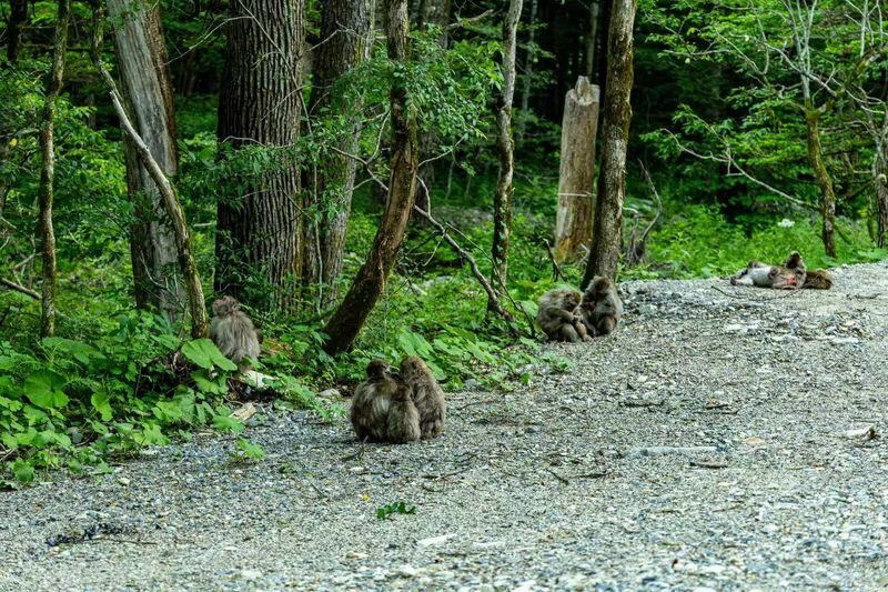 Nagoya Kamikochi Full-Day Hiking Tour with Myojin Pond - What the hike to Myojin Pond adds