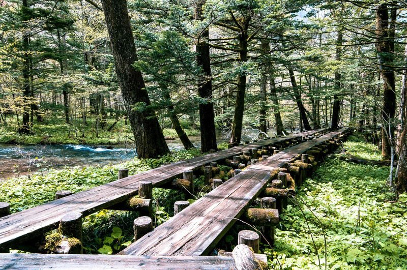 Nagoya Kamikochi Full-Day Hiking Tour with Myojin Pond - August crowds can change the mood