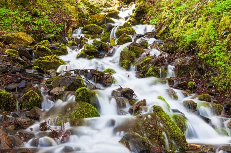 Nagoya Kamikochi Full-Day Hiking Tour with Myojin Pond - Who gets the best value from this tour