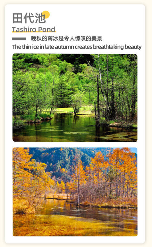 Nagoya Kamikochi Hiking Tour: One-Day Nature Forest Hiking Tour of Kamikochi & Taisho Pond & Tashiro Pond & Kappa Bridge & Myojin Pond & Hotaka Mountain Range & Hotaka Shrine Okumiya (Departure from Nagoya) - Weather can change the whole picture