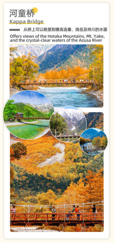 Nagoya Kamikochi Hiking Tour: One-Day Nature Forest Hiking Tour of Kamikochi & Taisho Pond & Tashiro Pond & Kappa Bridge & Myojin Pond & Hotaka Mountain Range & Hotaka Shrine Okumiya (Departure from Nagoya) - Who will enjoy this day trip most