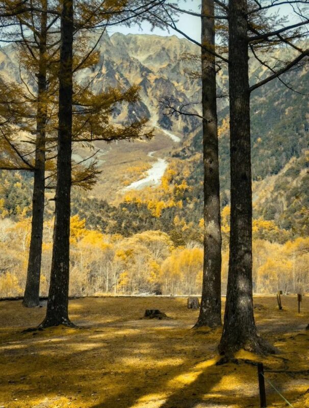 Nagoya Kamikochi & Kappa Bridge Full-Day Tour with Hiking - Is $44.20 good value?