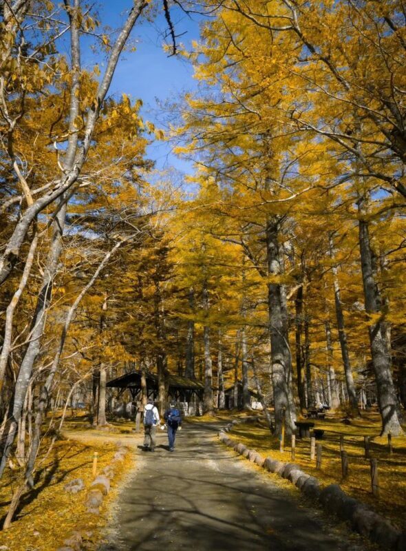 Nagoya Kamikochi & Kappa Bridge Full-Day Tour with Hiking - Who should book this day trip?