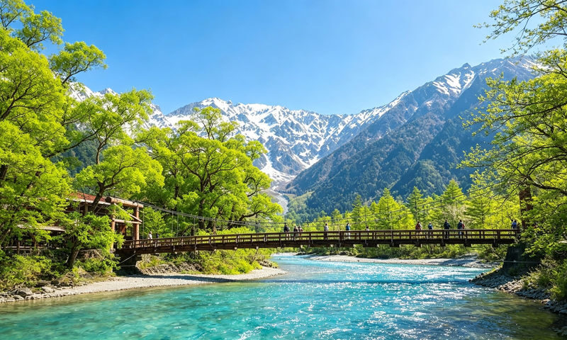 Nagoya Kamikochi & Kappabashi Full-Day Alpine Scenery Tour - Key points before you book