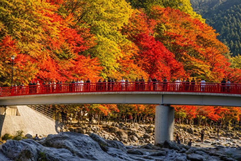 Nagoya Korankei & Shikizakura Autumn Maple Leaf Half-Day Tour - Obara’s shikizakura: a short stop with a rare payoff