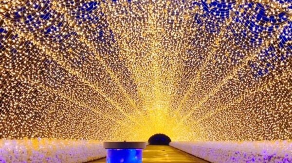 Nagoya: Mitsui Outlet Park, Nabana No Sato Illumination Tour - The Sum Up