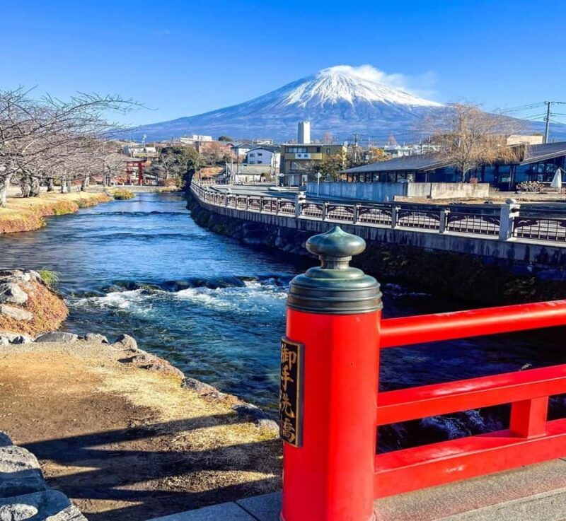 Nagoya: Mount Fuji Private Full-Day Scenic Tour With Guide - An In-Depth Look at the Mount Fuji Private Tour
