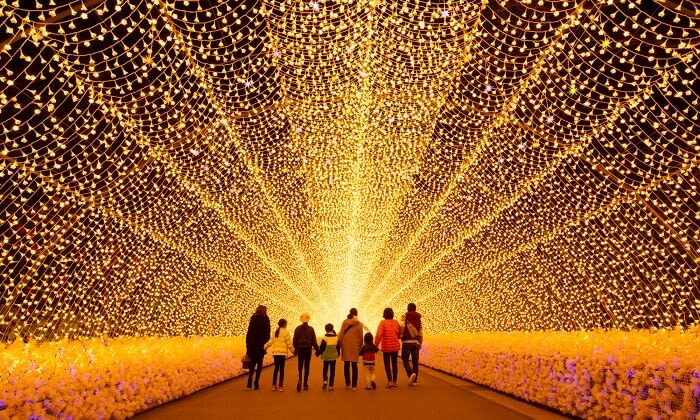 Nagoya Nabana no Sato Romantic Winter Illumination Tour - What to know before you go