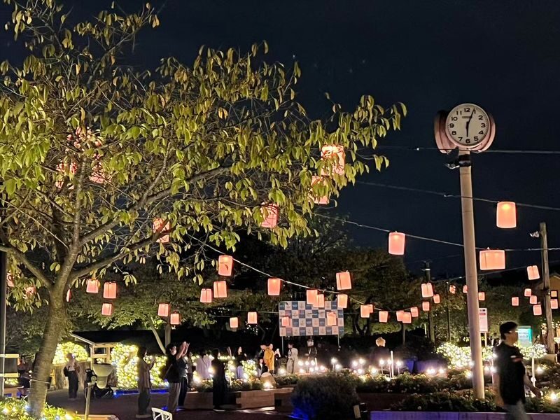 Nagoya Nabana no Sato Romantic Winter Illumination Tour - Nabana no Sato after sunset