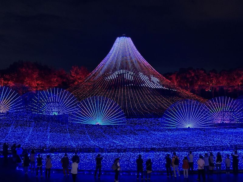 Nagoya Nabana no Sato Romantic Winter Illumination Tour - What the guide does, and what you do