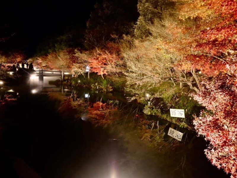 Nagoya: Nagashima Outlet Mall & Nabana no Sato Park Trip - Practical Details and Tips