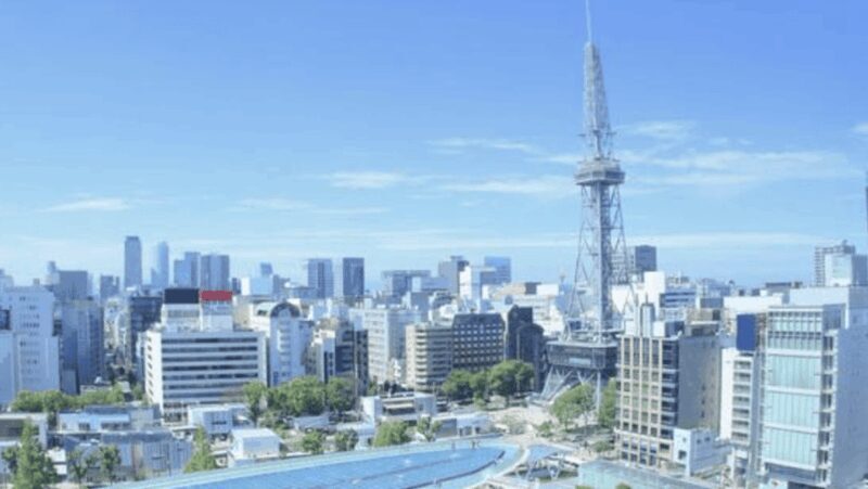 Nagoya Private Custom Tour with Local Guide - Who Will Love This Tour?